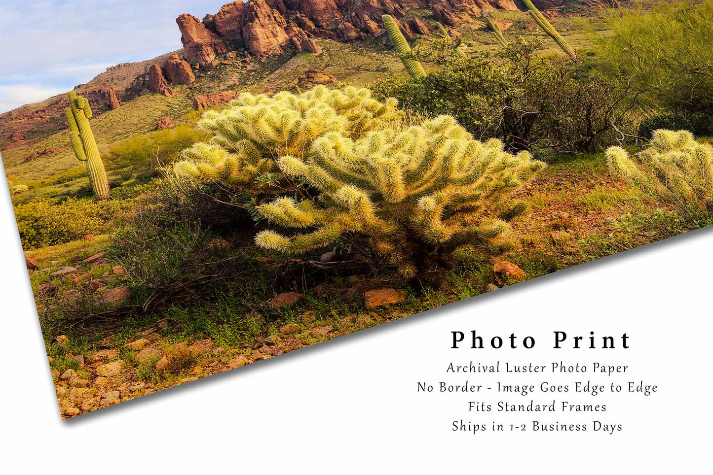 Superstition Mountains Photography Print | Cholla Cactus Picture | Lost Dutchman Wall Art | Arizona Landscape Photo | Desert Southwest Decor | Not Framed