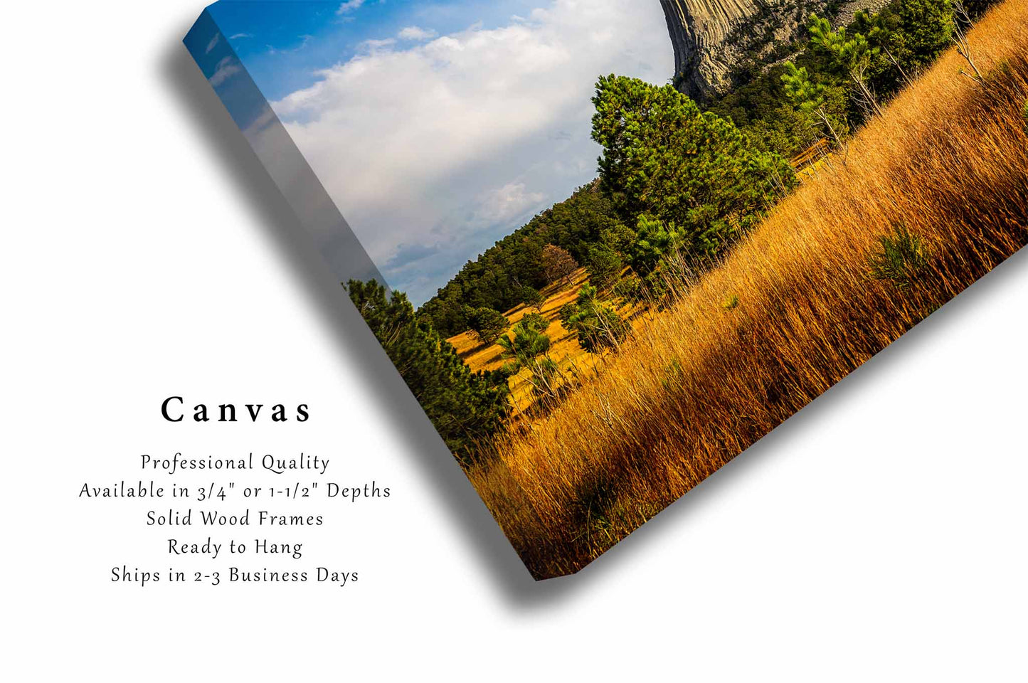 Devils Tower Canvas | Black Hills Gallery Wrap | National Monument Photography | Wyoming Landscape Wall Art | Nature Decor | Ready to Hang