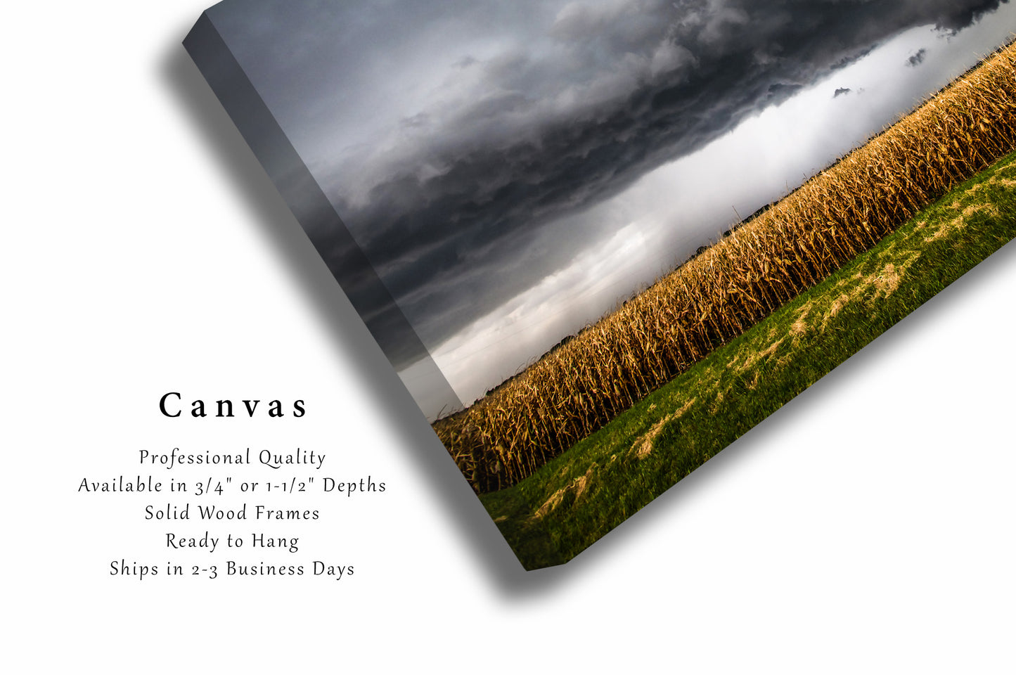 Canvas Wall Art | Storm Over Corn Field Picture | Country Gallery Wrap | Kansas Photography | Thunderstorm Photo | Farm Decor