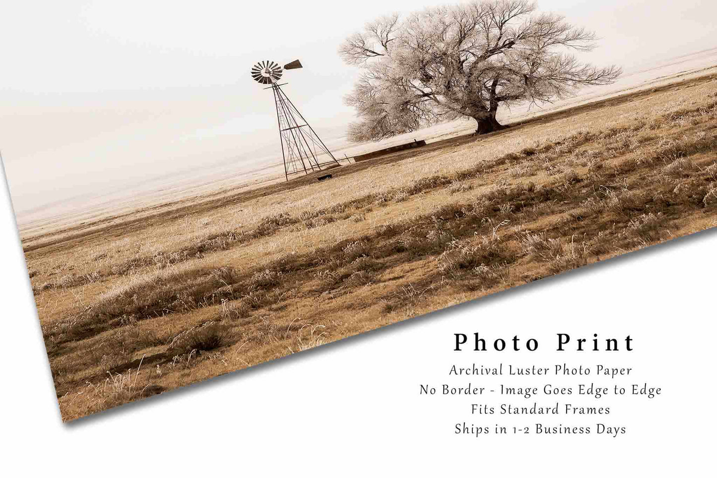 Country Photography Print | Windmill and Tree Picture | New Mexico Wall Art | Sepia Photo | Farmhouse Decor | Not Framed