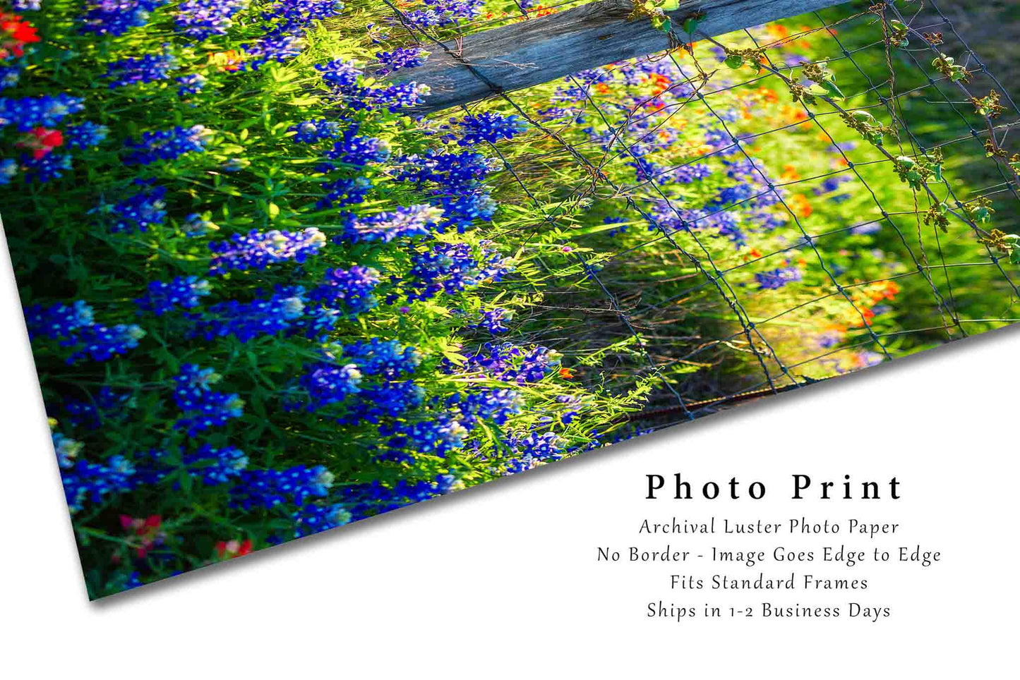 Wildflower Photo Print | Fence Post in Bluebonnets and Indian Paintbrush Picture | Texas Wall Art | Vertical Country Photography | Farmhouse Decor