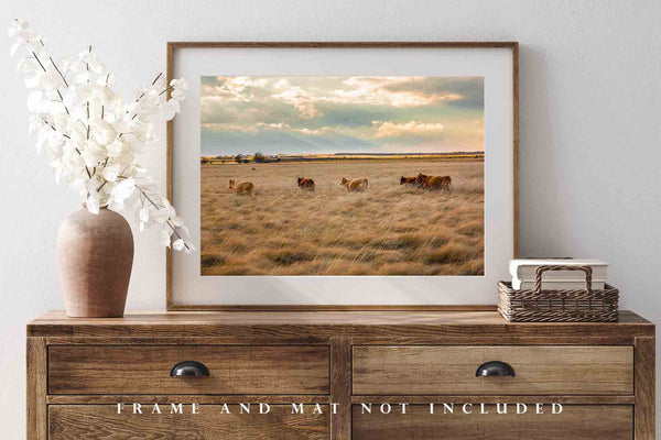 Cow Photography Art Print - Fine Art Picture of Cattle Wading Through Grass in Texas Panhandle on Late Autumn Day Western Wall Art Photo