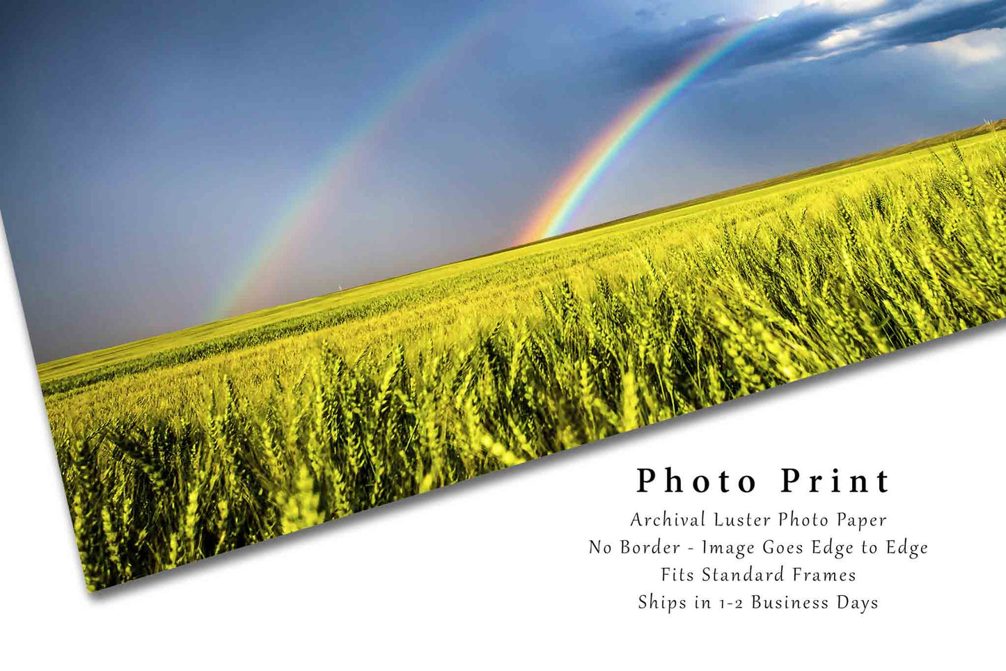 Country Photography Print (Not Framed) Picture of Double Rainbow Over Wheat Field on Stormy Day in Kansas Great Plains Wall Art Nature Decor