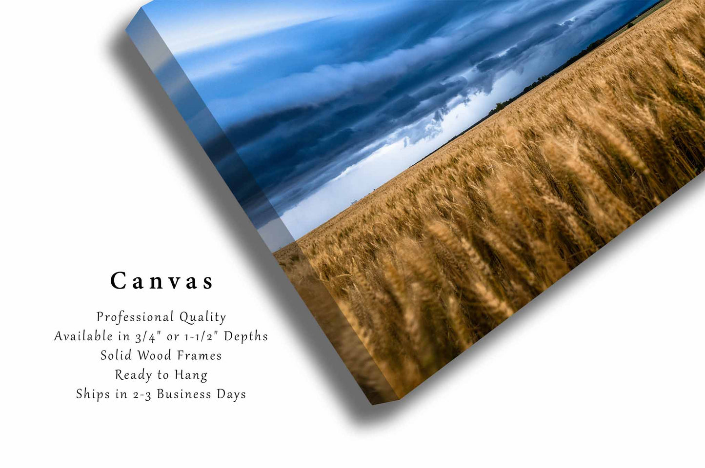 Stormy Sky Canvas | Golden Wheat Field Gallery Wrap | Farm and Country Photography | Kansas Landscape Wall Art | Farmhouse Decor | Ready to Hang
