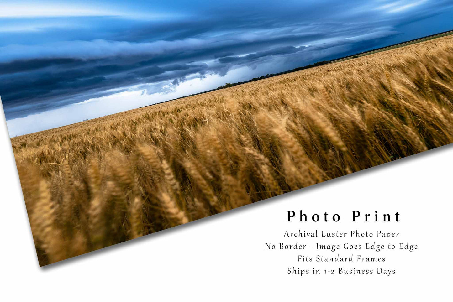 Great Plains Photo Print | Golden Wheat Field Under Thunderstorm Picture | Kansas Wall Art | Landscape Photography | Farmhouse Decor