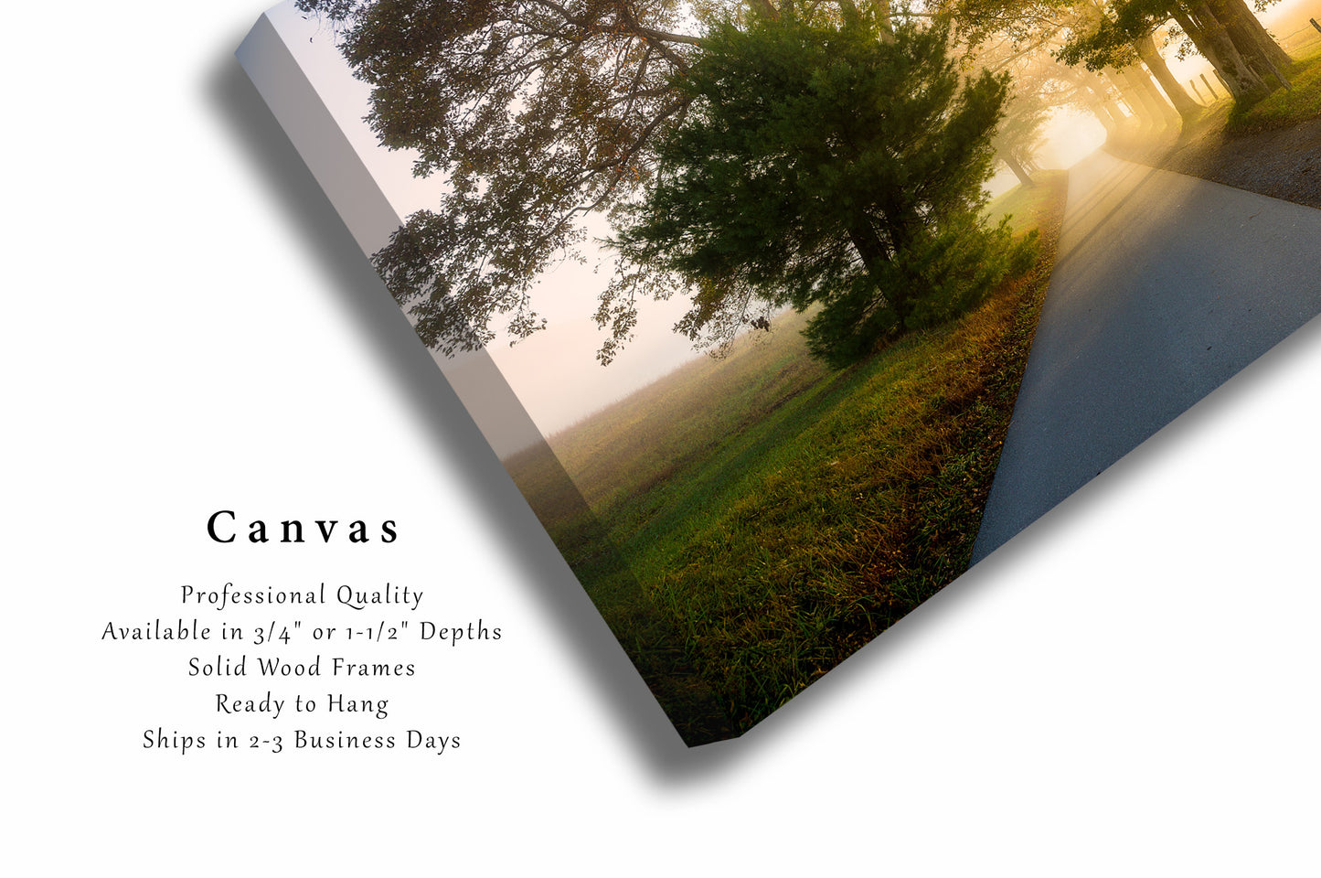 Ethereal Canvas Wall Art | Road Through Foggy Sunlight Photo | Cades Cove Gallery Wrap | Tennessee Photography | Great Smoky Mountains Decor