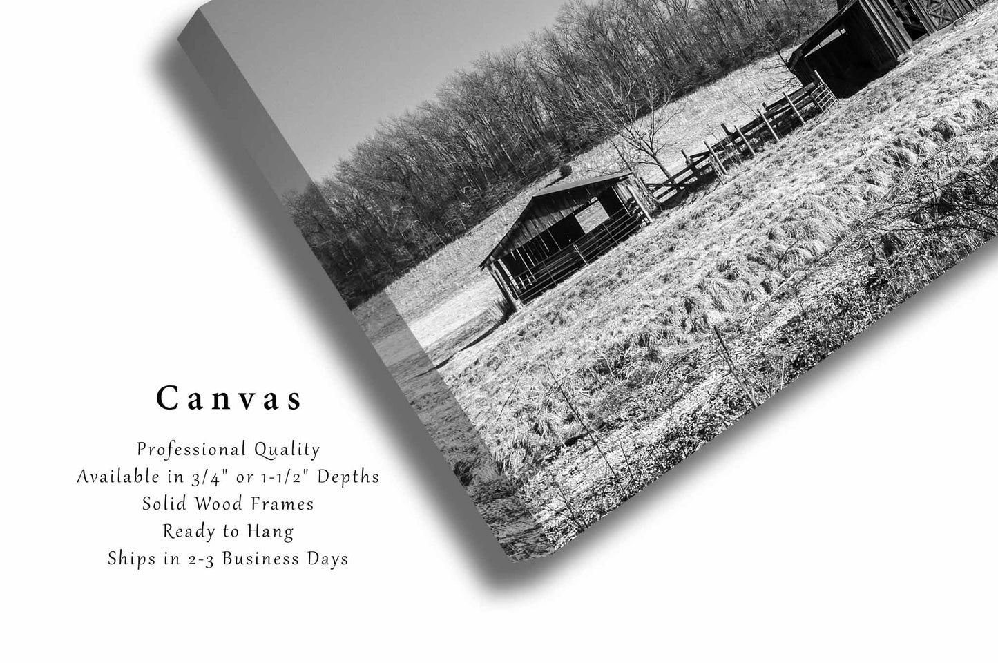 Barn and Pen Canvas | Black and White Gallery Wrap | Country Photography | Arkansas Wall Art | Farmhouse Decor | Ready to Hang