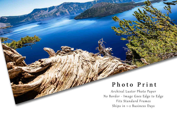 Pacific Northwest Photo Print | Crater Lake Picture | Oregon Wall Art | Landscape Photography | Nature Decor