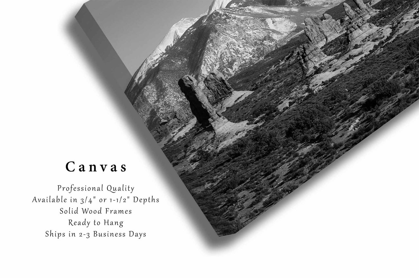 Arches National Park Canvas | Black and White Gallery Wrap | La Sal Mountains Photography | Utah Landscape Wall Art | Nature Decor | Ready to Hang
