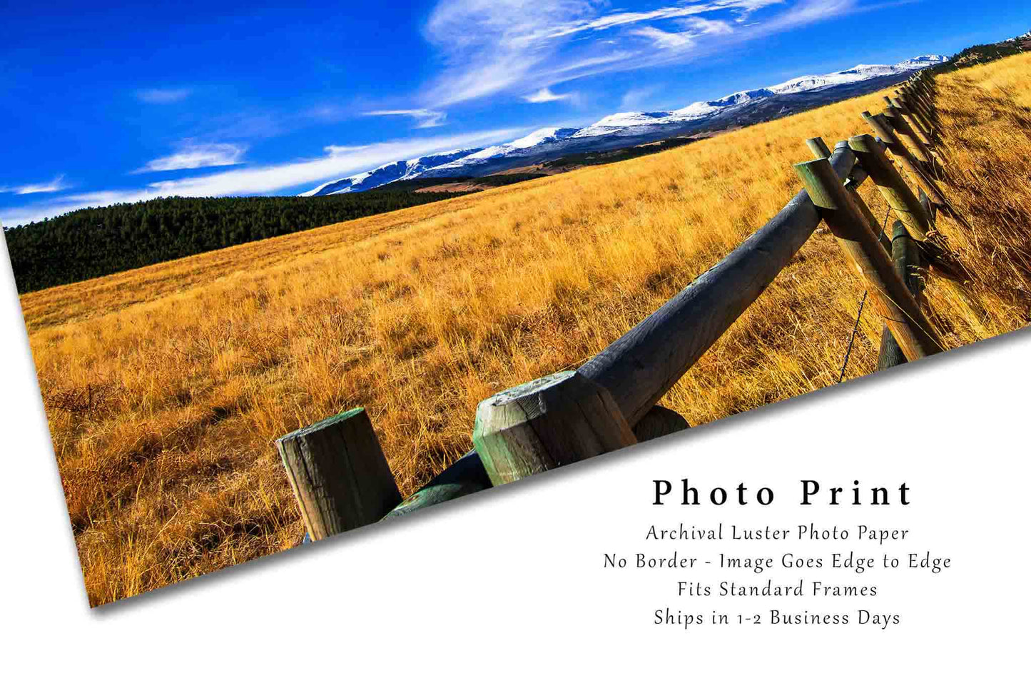 Bighorn Mountains Photography Print | Fence Row Picture | Rocky Mountain Wall Art | Wyoming Landscape Photo | Western Decor | Unframed