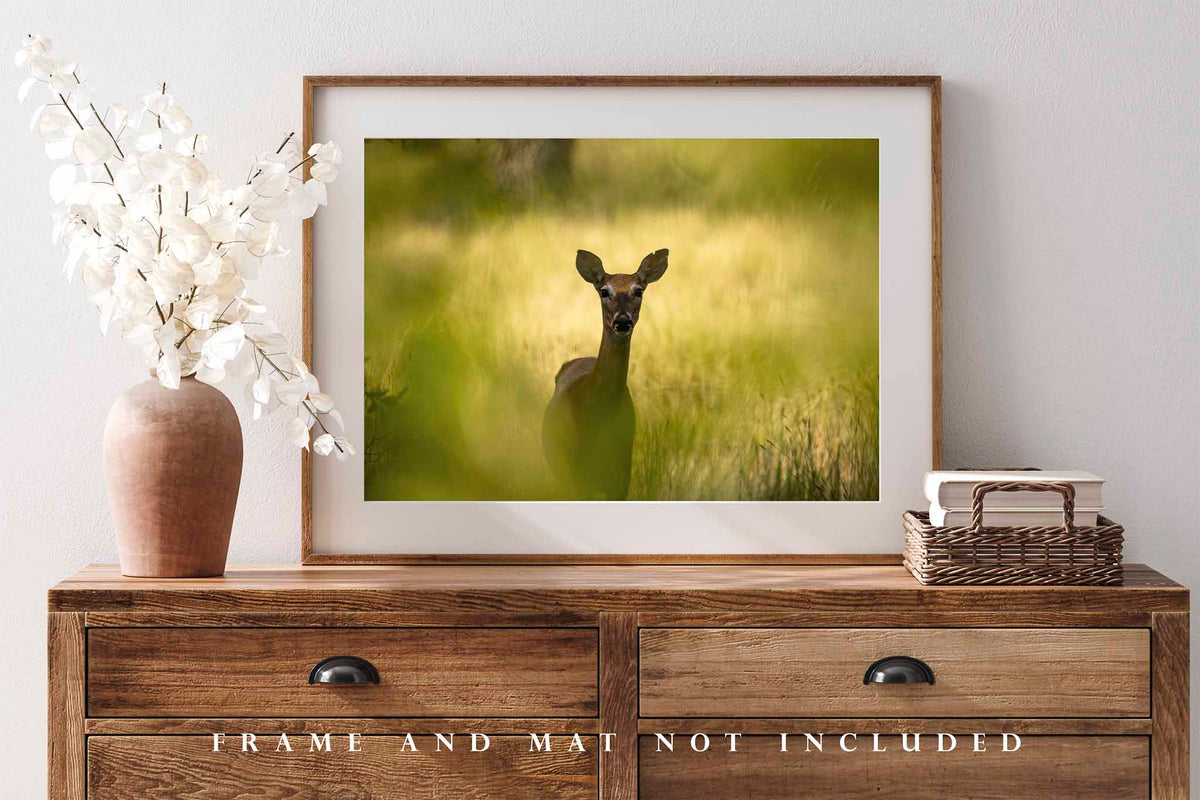 Deer Watching Between Tree Leaves in Wyoming Photo Print (Unframed) | Animal Wall Art Wildlife Decor