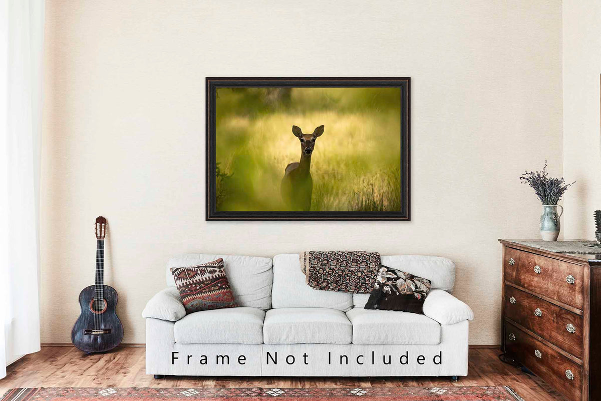 Deer Watching Between Tree Leaves in Wyoming Photo Print (Unframed) | Animal Wall Art Wildlife Decor