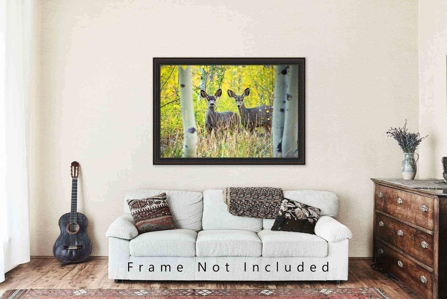 Mule Deer Photography Print | Wildlife Picture | Rocky Mountain Wall Art | Colorado Photo | Nature Decor | Not Framed