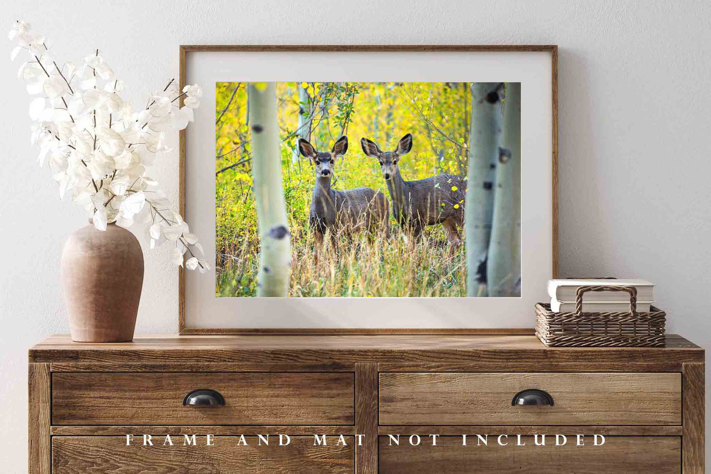 Wildlife Photography Wall Art Print - Picture of Pair of Mule Deer Between Aspen Trees at Maroon Bells in Western Colorado Nature Decor