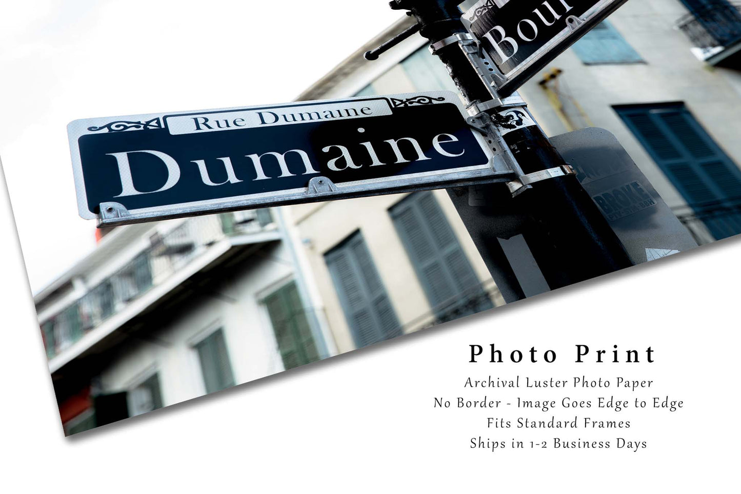 NOLA Photo Print | Dumaine and Bourbon Street Sign Picture I Louisiana Wall Art | New Orleans Photography | French Quarter Decor