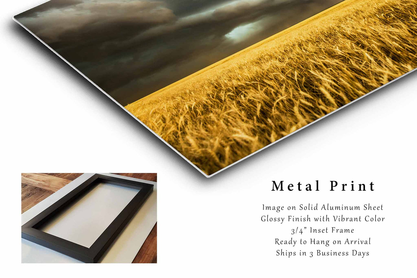 Storm Metal Print | Thunderstorm Over Golden Wheat Field Photo | Great Plains Photography | Colorado Picture | Western Decor