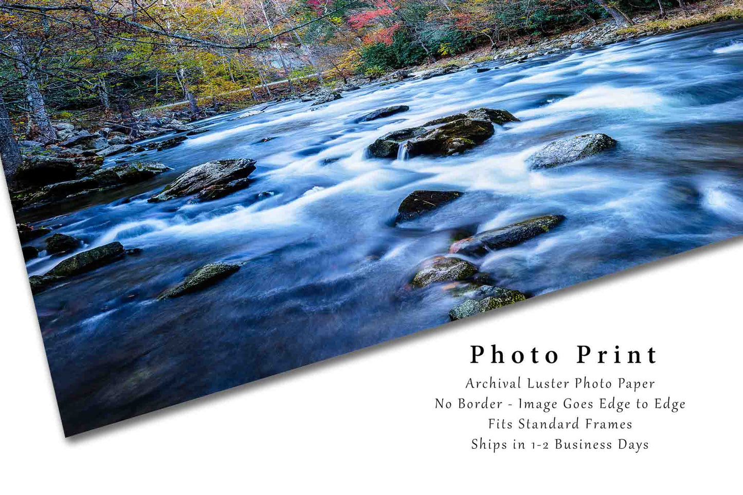 Fall in the Smokies - Print - Laurel Creek and Autumn Color in the Great Smoky Mountains of Tennessee