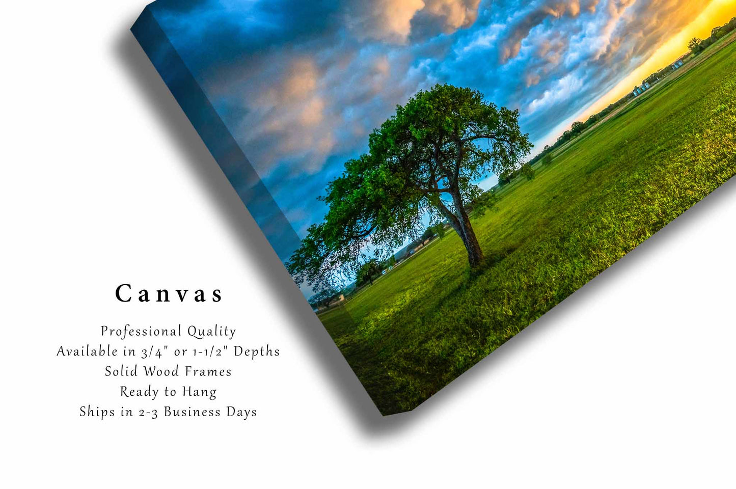 Lone Tree Canvas | Stormy Sky Gallery Wrap | Texas Photography | Colorful Clouds Wall Art | Nature Decor | Ready to Hang