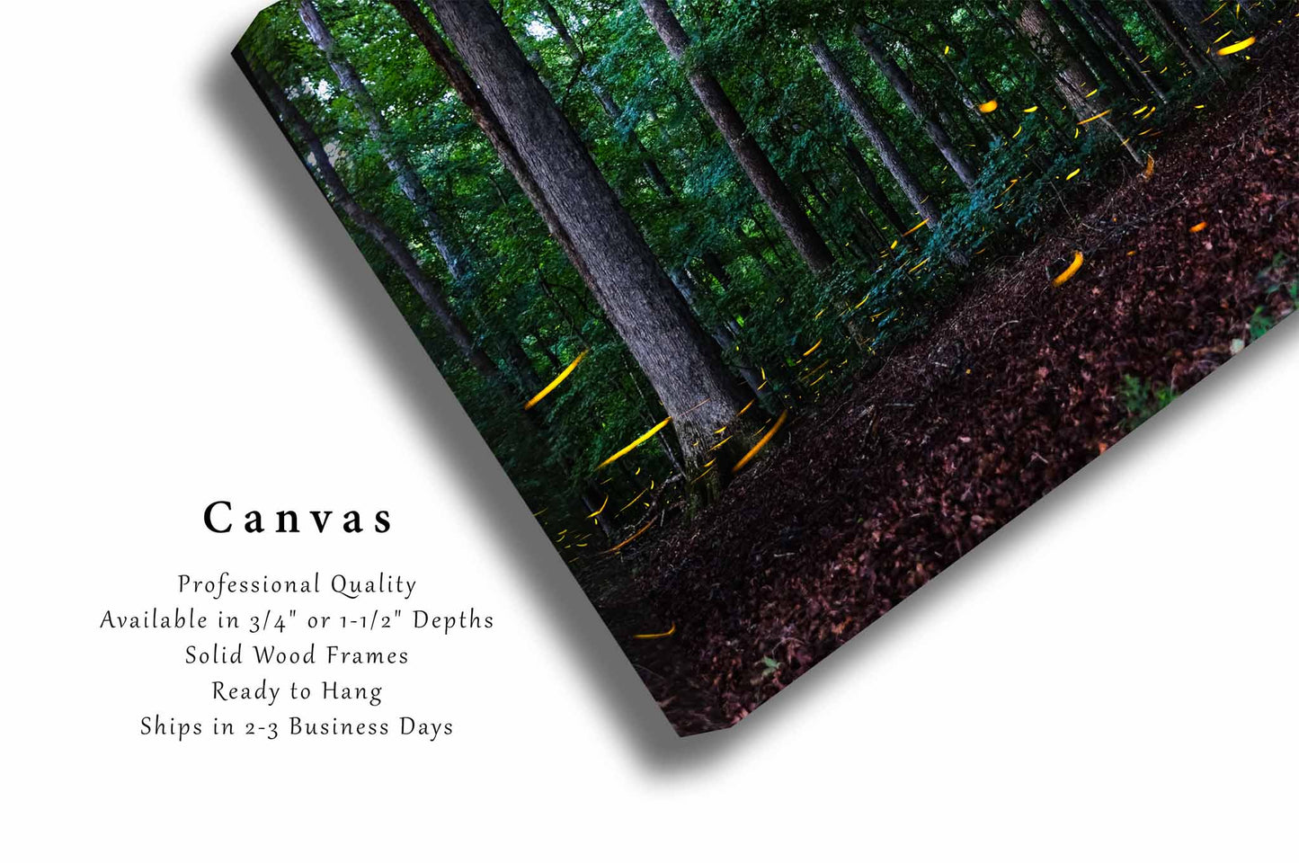 Fireflies Canvas | Lightning Bug Gallery Wrap | Woodland Forest Photography | Tennessee Wall Art | Nature Decor | Ready to Hang