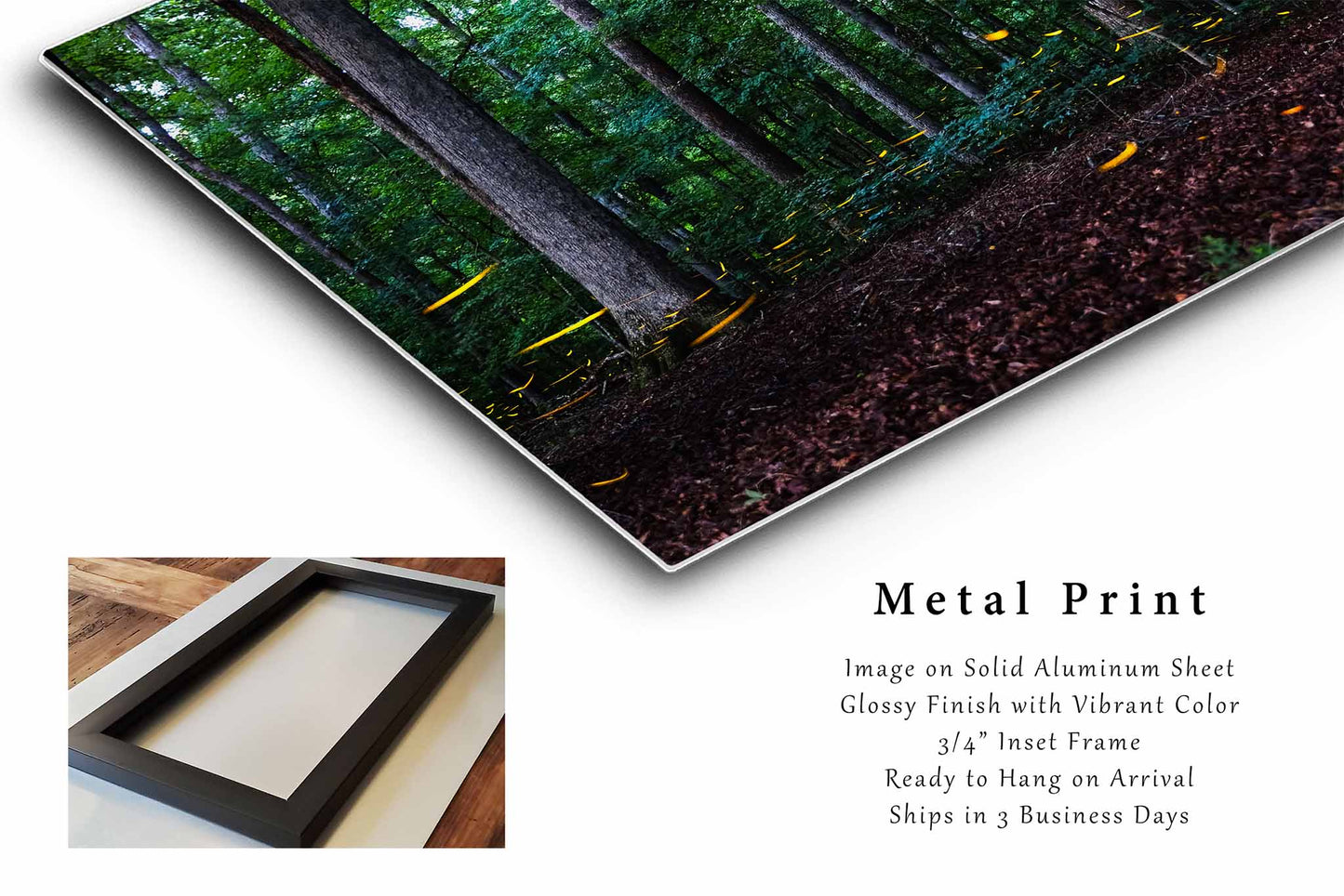 Fireflies Metal Print | Lightning Bug Photography | Woodland Forest Wall Art | Tennessee Photo | Nature Decor | Ready to Hang