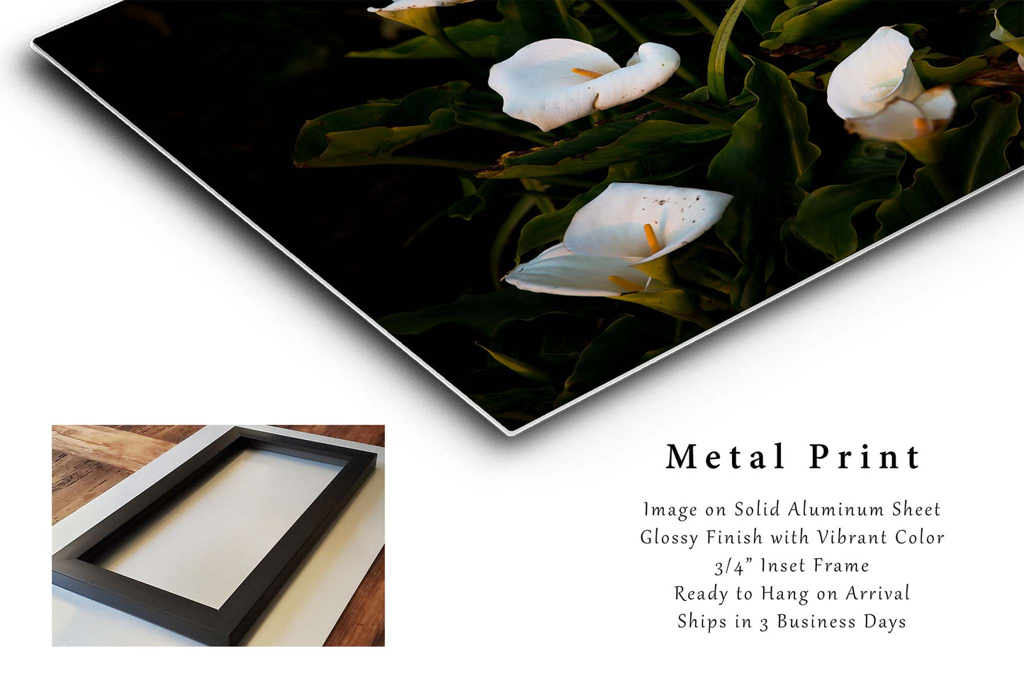 Wild Calla Lilies in Big Sur California Metal Print Wall Art | Flower Photography Nature Decor