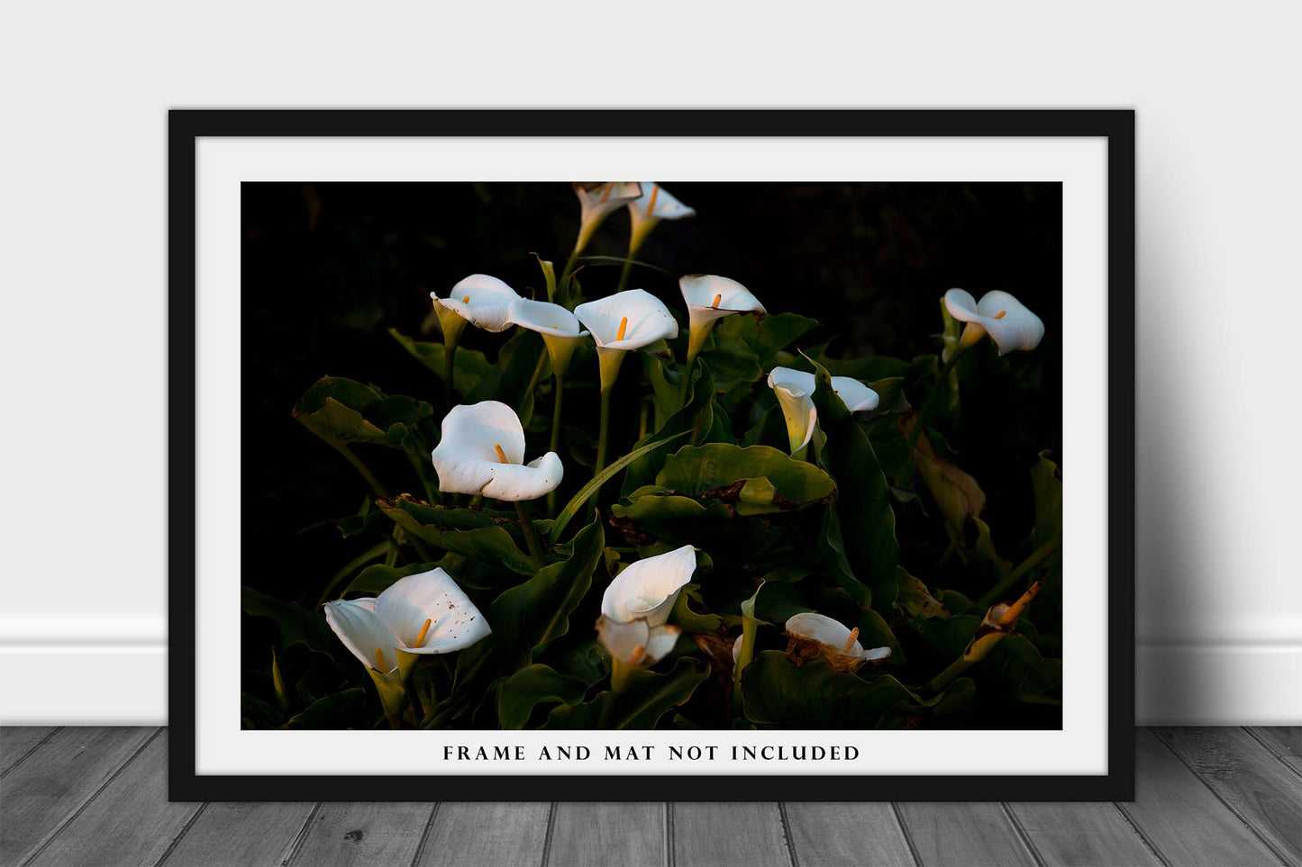 Wild Calla Lilies in Big Sur California Photo Print (Unframed) | Flower Wall Art Nature Decor