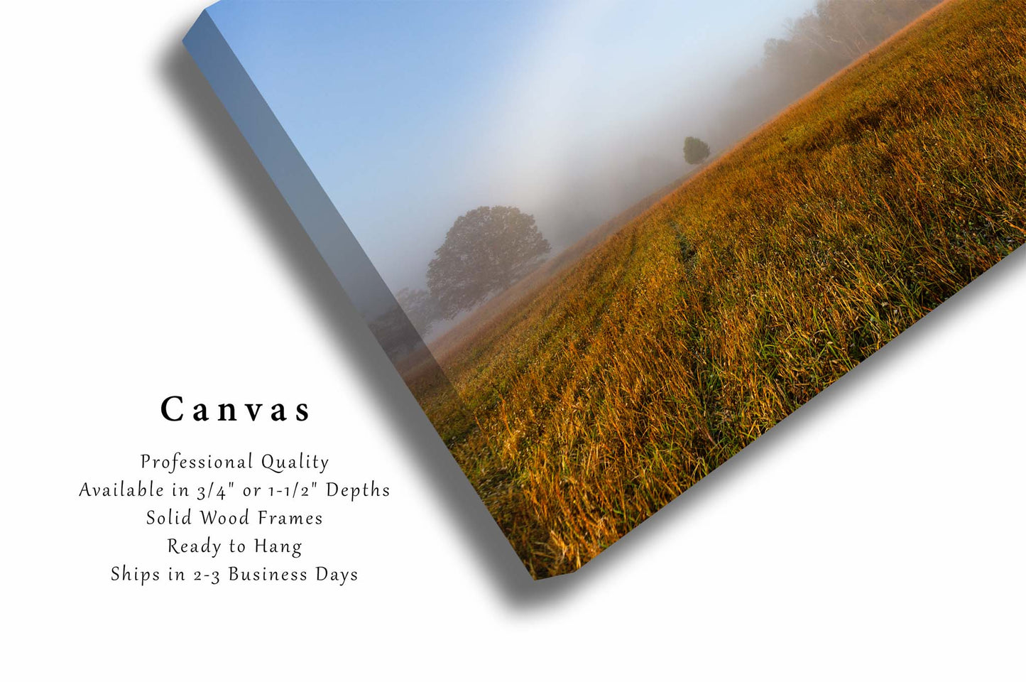 Nature Canvas Wall Art (Ready to Hang) Fog Bow Over Field on Foggy Autumn Morning in Tennessee | Great Smoky Mountains Landscape Photography Weather Decor
