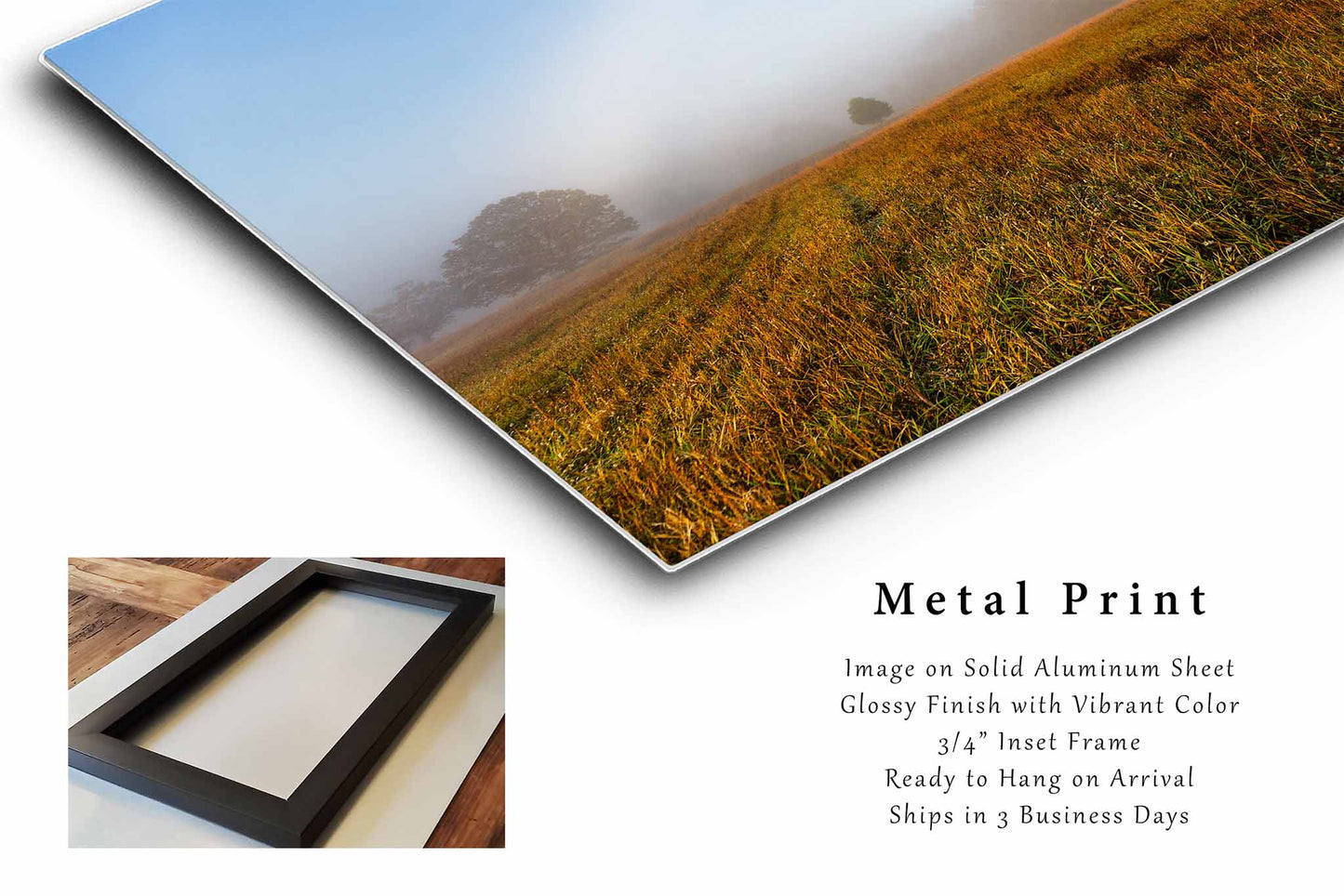 Nature Metal Print (Ready to Hang) Fog Bow Over Field on Foggy Autumn Morning in Tennessee | Great Smoky Mountains Landscape Wall Art Weather Decor