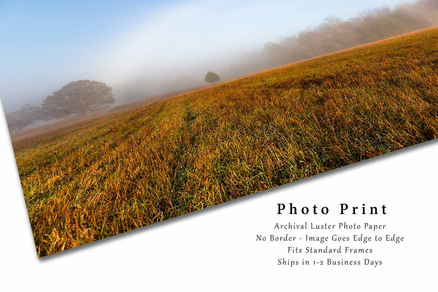 Nature Photography Print (Unframed) Fog Bow Over Field on Foggy Autumn Morning in Tennessee | Great Smoky Mountains Landscape Wall Art Weather Decor
