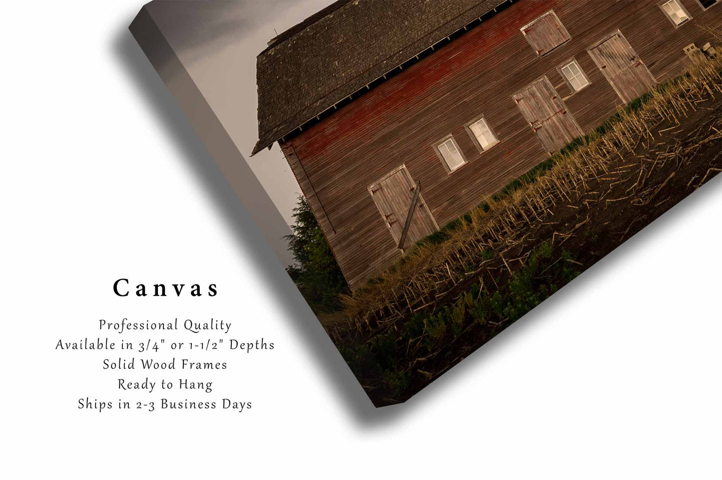 Country Canvas Wall Art (Ready to Hang) Old Red Barn Side with Multiple Doors in Nebraska | Midwest Photography Farmhouse Decor