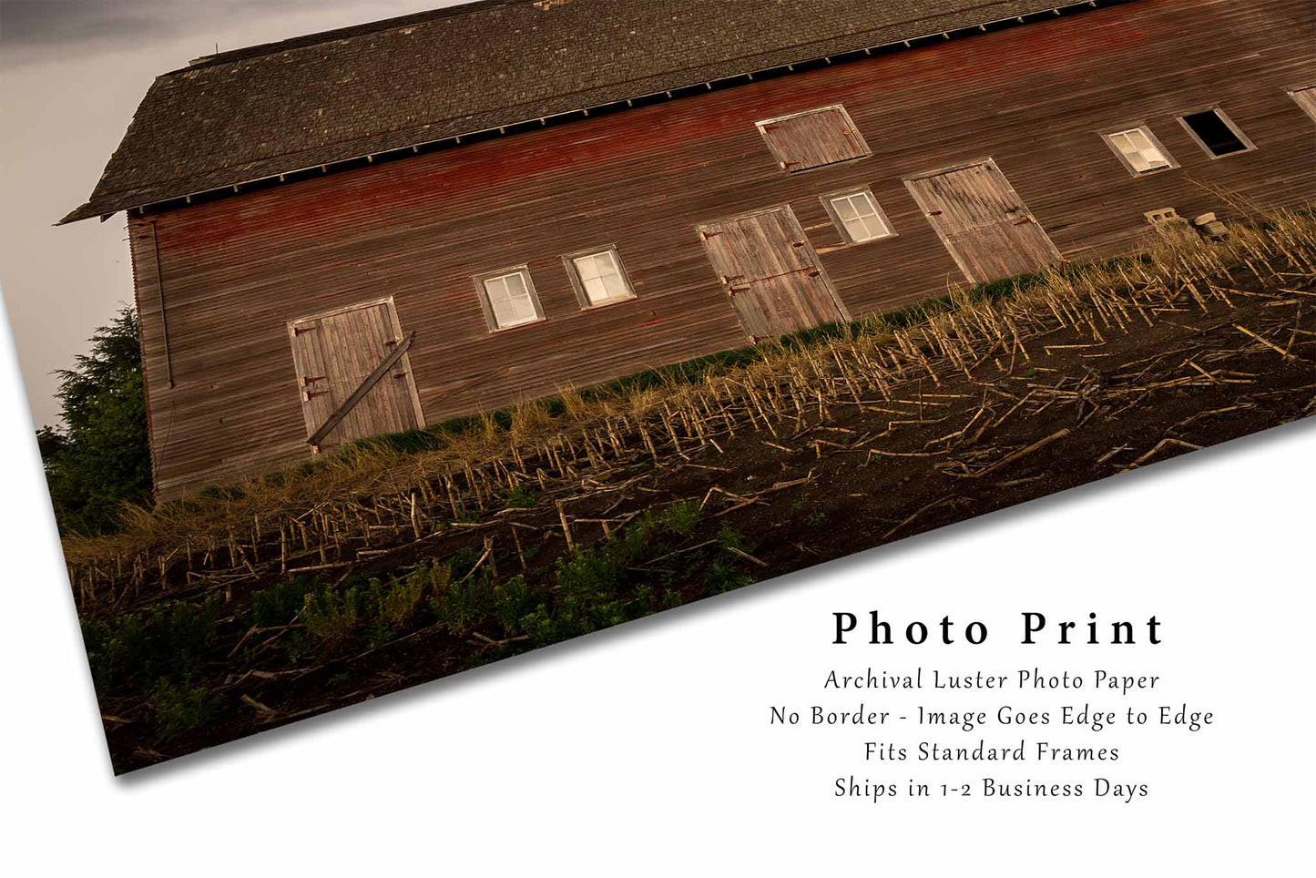 Country Photography Print (Unframed) Old Red Barn Side with Multiple Doors in Nebraska | Midwest Wall Art Farmhouse Decor