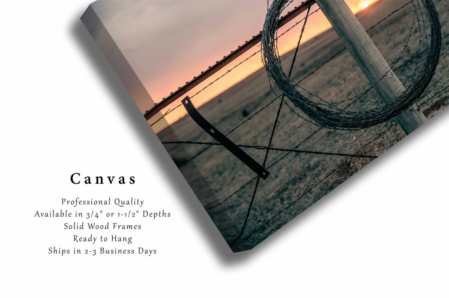 Barbed Wire Canvas | Farm and Ranch Gallery Wrap | Country Photography | Oklahoma Wall Art | Western Decor | Ready to Hang