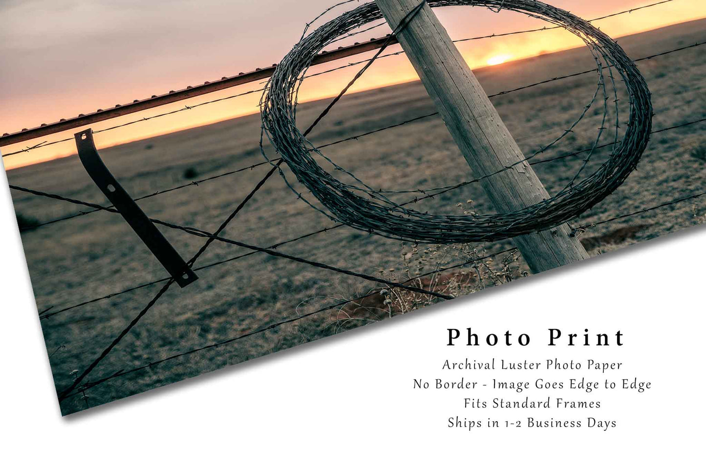 Barbed Wire Photography Print | Farm and Ranch Picture | Country Wall Art | Oklahoma Photo | Western Decor | Not Framed