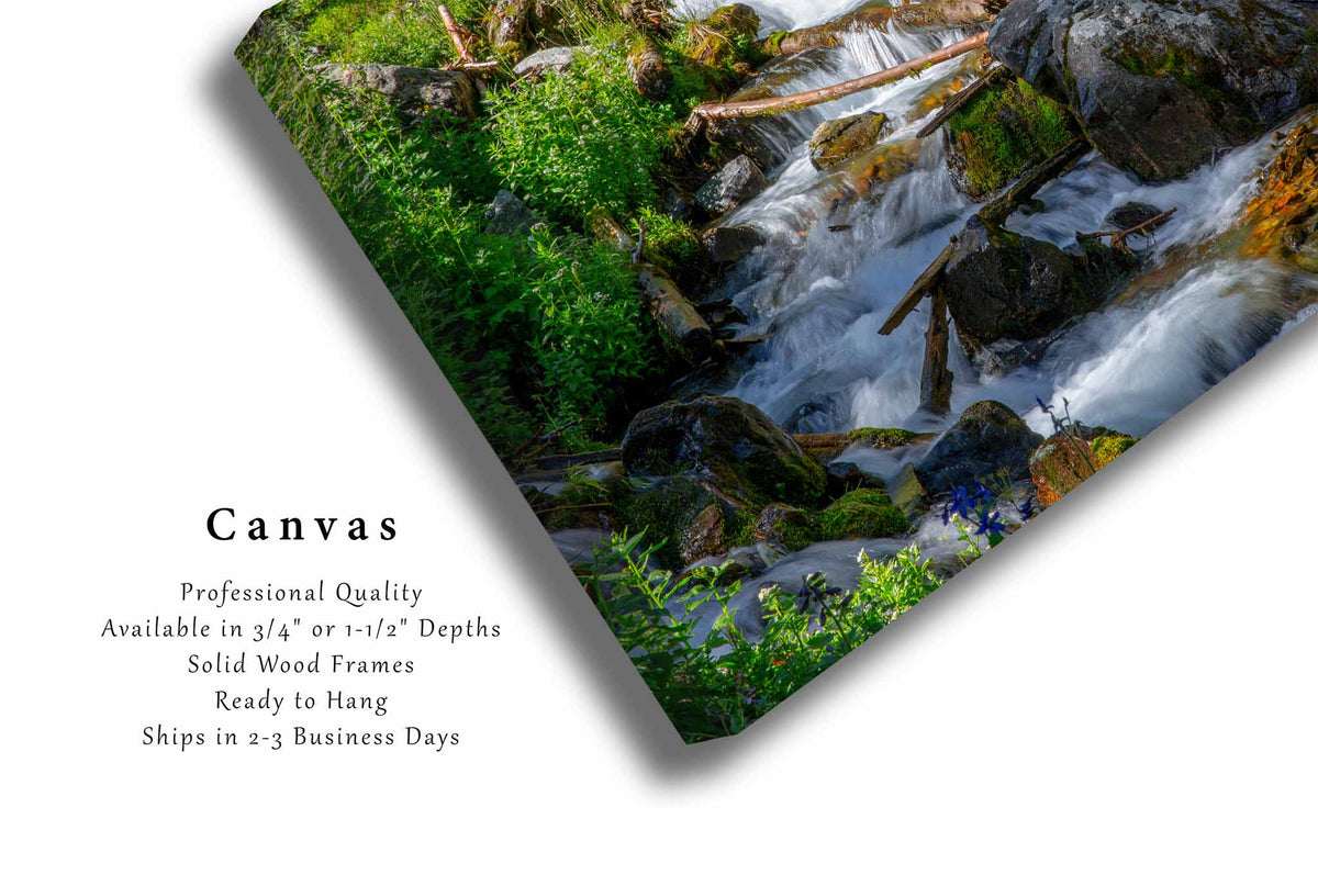 Cascading Creek in New Mexico Canvas Wall Art | Rocky Mountain Landscape Photography Nature Decor