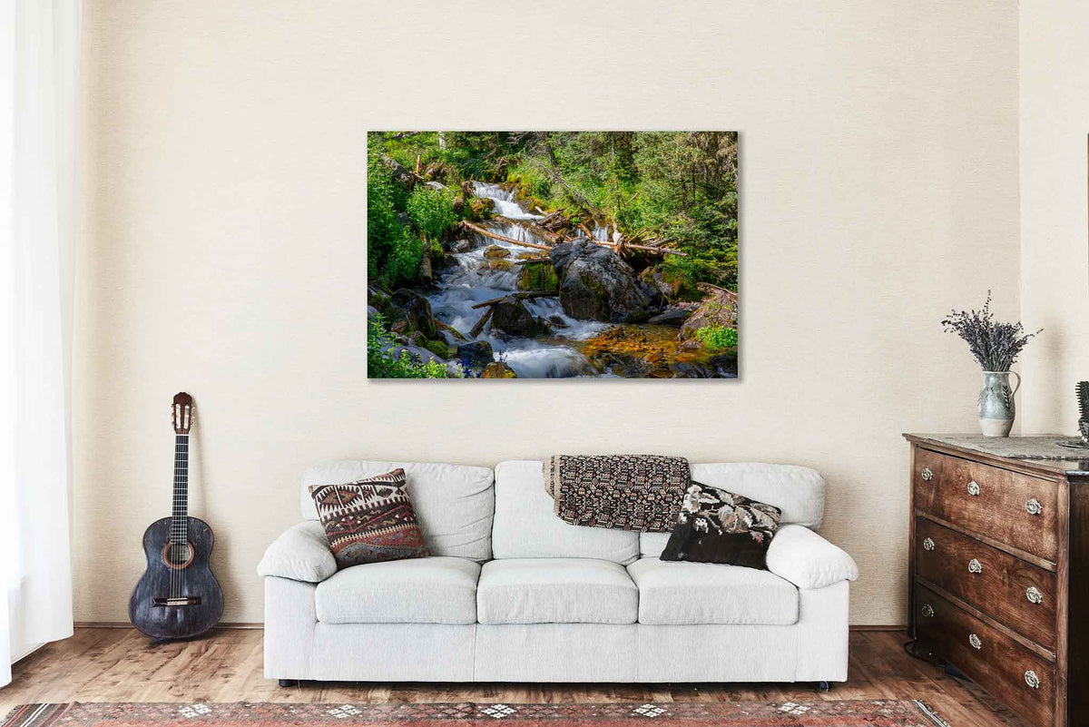 Cascading Creek in New Mexico Metal Print Wall Art | Rocky Mountain Landscape Photography Nature Decor