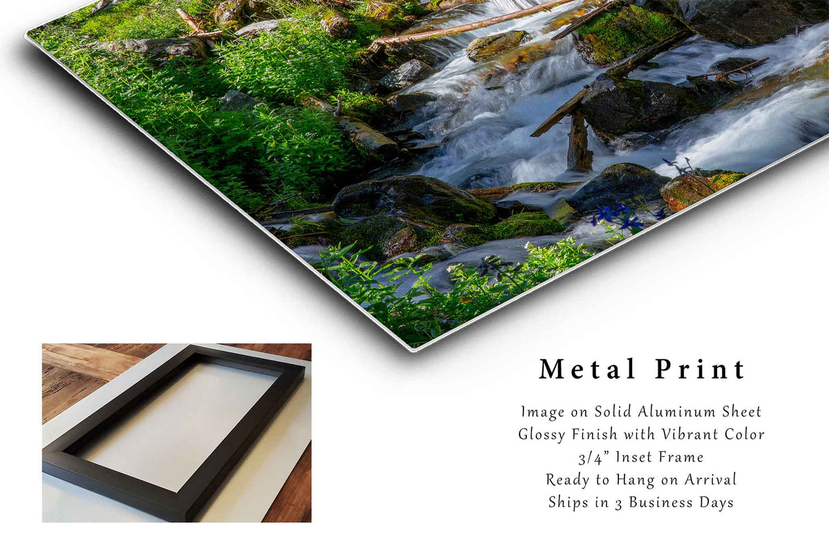 Cascading Creek in New Mexico Metal Print Wall Art | Rocky Mountain Landscape Photography Nature Decor