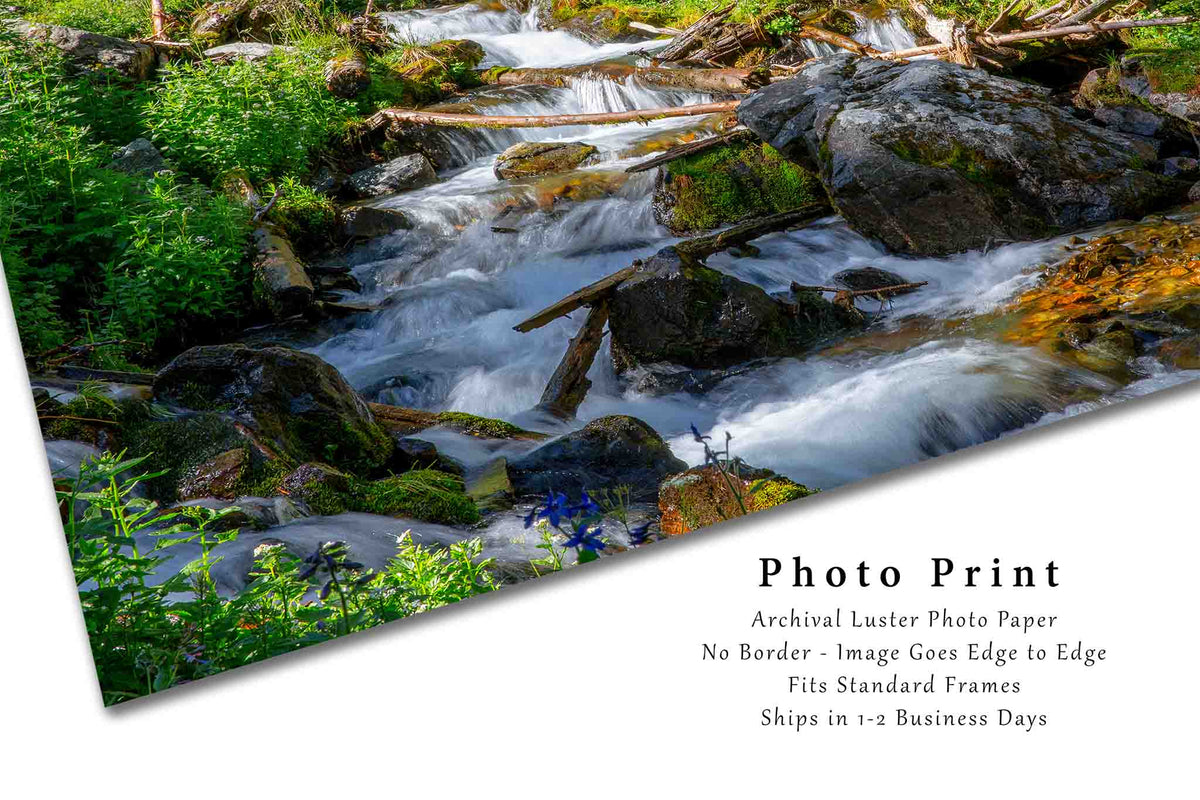 Cascading Creek in New Mexico Photo Print (Unframed) | Rocky Mountain Landscape Wall Art Nature Decor