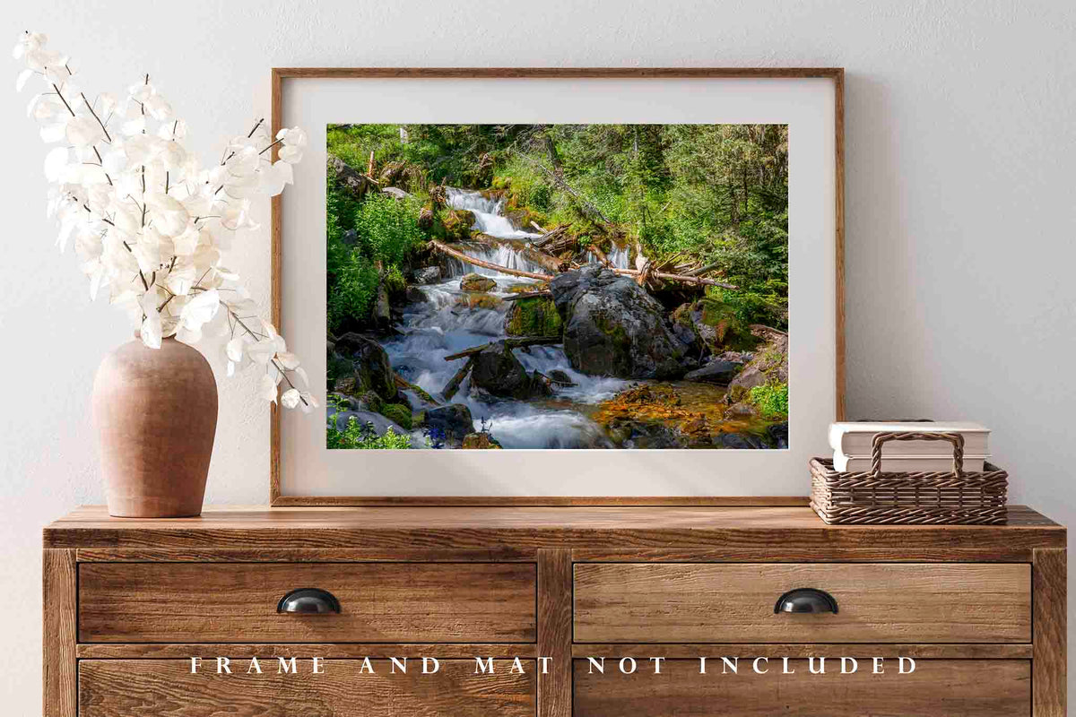 Cascading Creek in New Mexico Photo Print (Unframed) | Rocky Mountain Landscape Wall Art Nature Decor