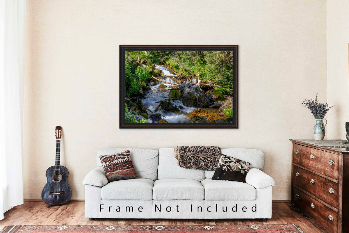 Cascading Creek in New Mexico Photo Print (Unframed) | Rocky Mountain Landscape Wall Art Nature Decor