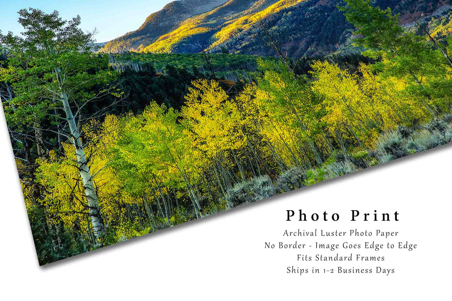Rocky Mountain Picture - Fine Art Landscape Photography Print of Mountain in Golden Sunlight on Autumn Day in Colorado Wall Art Photo Decor
