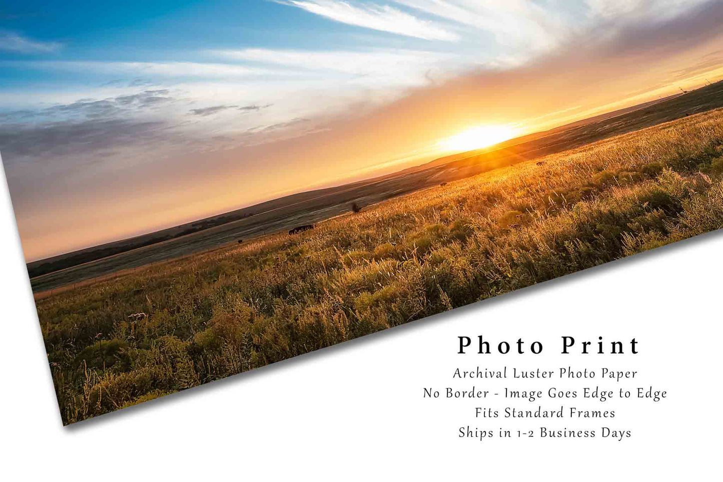 Sunset Photography Print - Fine Art Picture of Incredible Sunset Over Tallgrass Prairie in Northern Oklahoma Landscape Photo Plains Decor