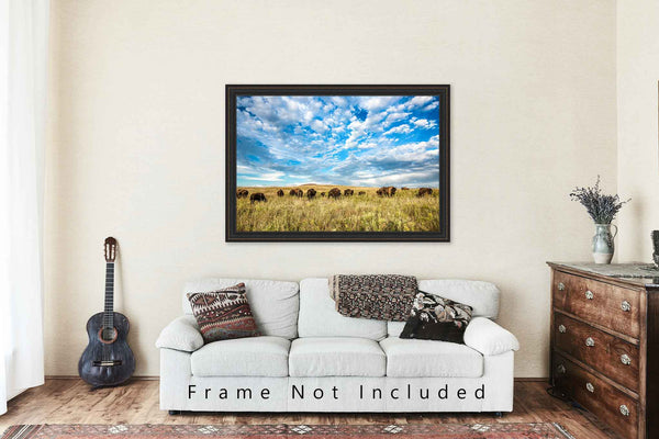 Bison Photo Print | Buffalo Herd on Tallgrass Prairie Picture | Oklahoma Wall Art | Great Plains Photography | Western Decor