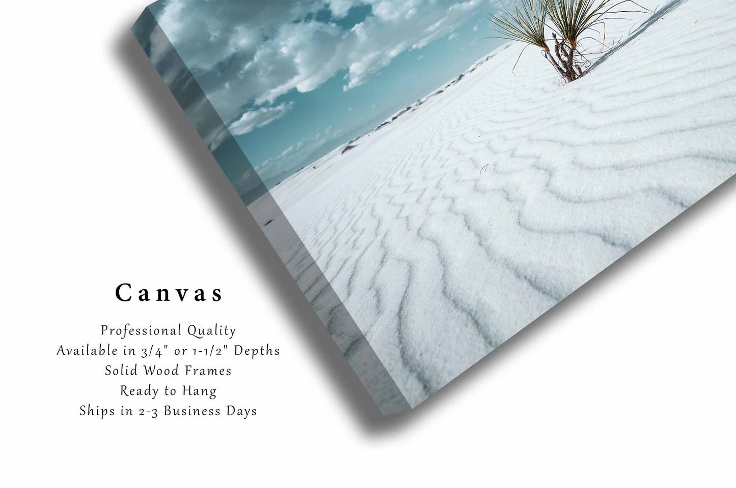 Yucca Plant Canvas | White Sands National Park Gallery Wrap | Retro Desert Photography | New Mexico Landscape Wall Art | Southwest Décor Decor | Ready to Hang
