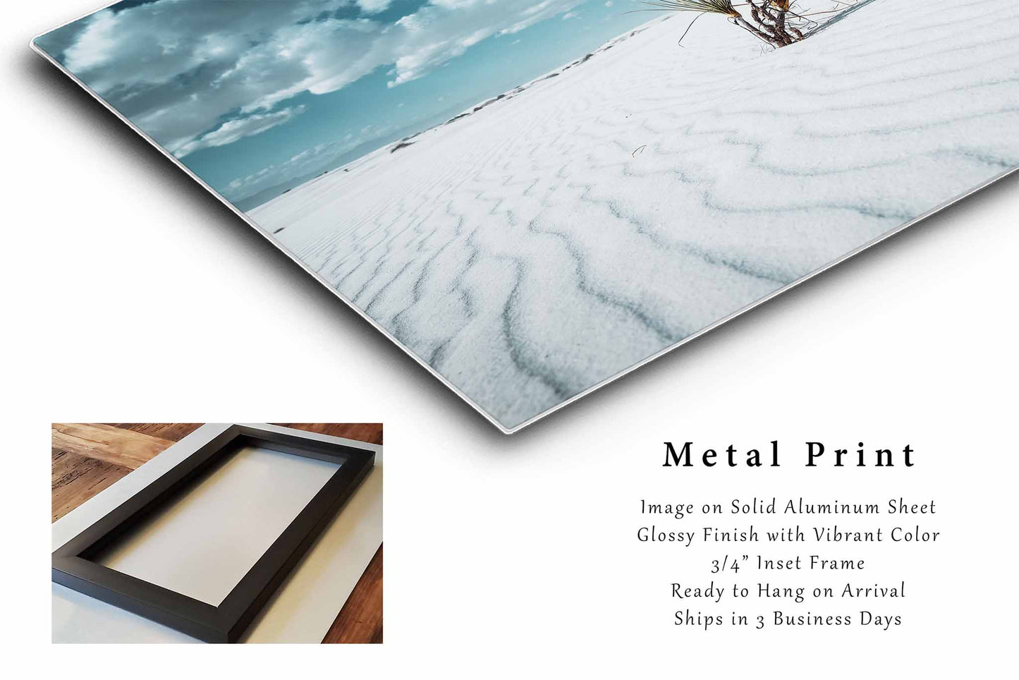 Yucca Plant Metal Print | White Sands National Park Photography | Retro Desert Wall Art | New Mexico Landscape Photo | Southwest Décor Decor | Ready to Hang