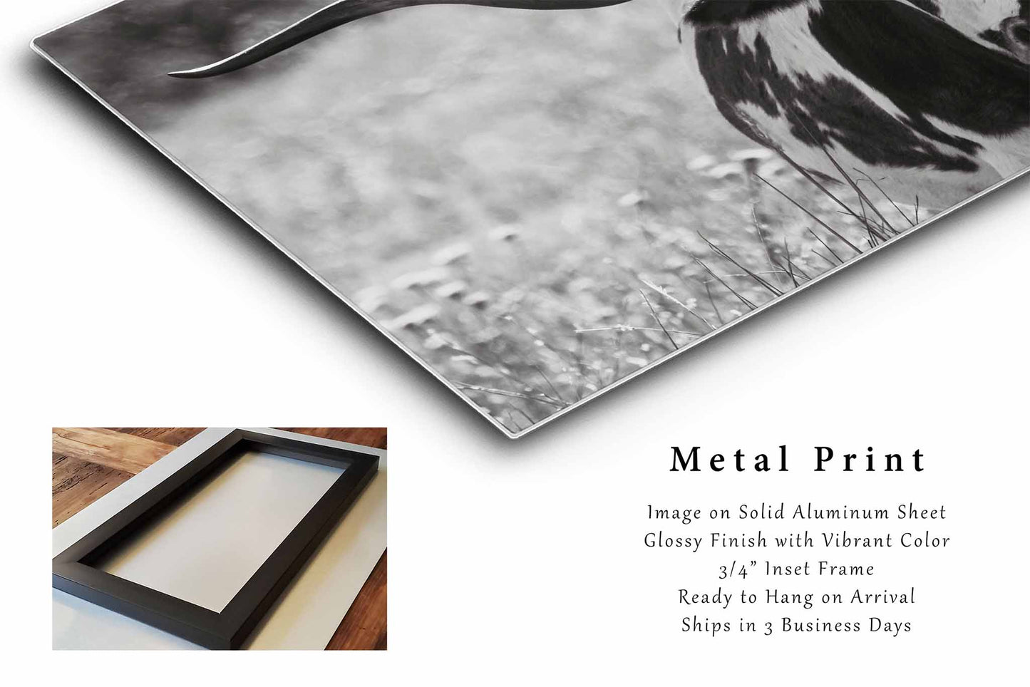 Longhorn Cow Metal Print | Panoramic Photography | Wichita Mountains Wall Art | Oklahoma Photo | Western Decor | Ready to Hang