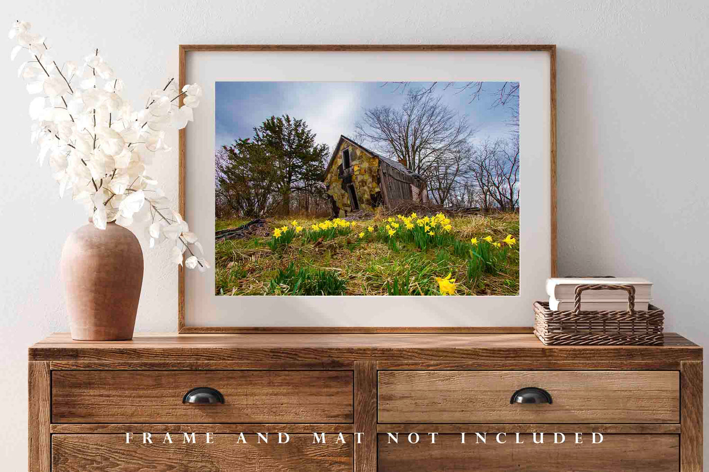 Country Photography Print (Unframed) Old Barn and Jonquil Daffodils on Spring Day in Arkansas | Ozark Mountains Wall Art Rustic Decor