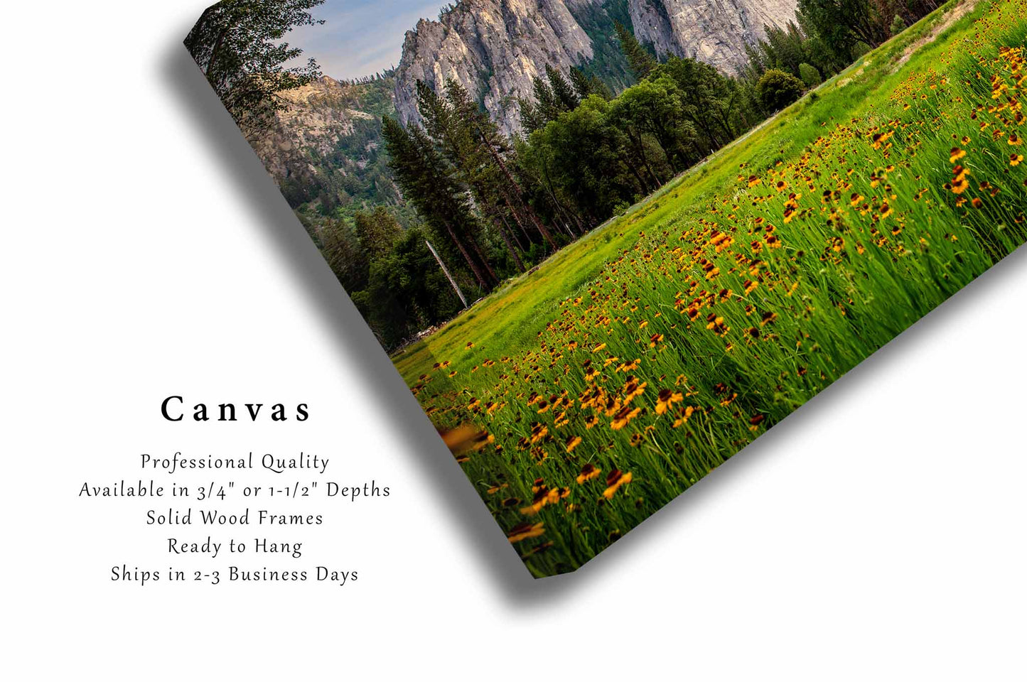 Yosemite National Park Canvas | Cathedral Rocks Gallery Wrap | Wildflower Photography | California Landscape Wall Art | Nature Decor | Ready to Hang