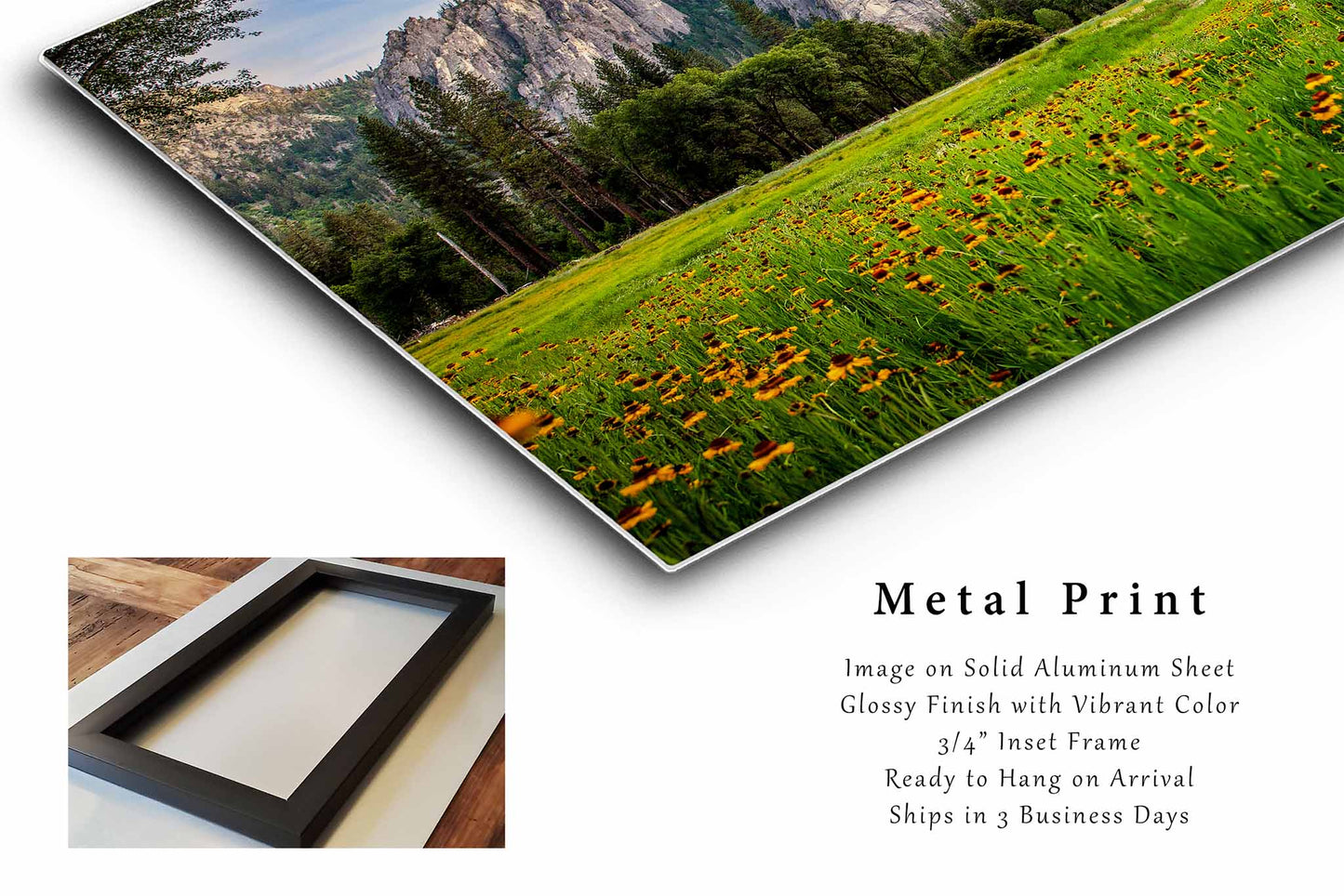 Yosemite National Park Metal Print | Cathedral Rocks Photography | Wildflower Wall Art | California Landscape Photo | Nature Decor | Ready to Hang