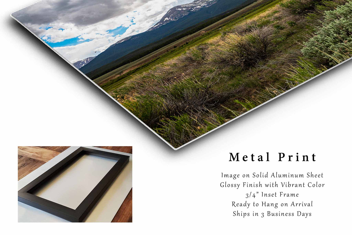 Mount Massive Metal Print | Leadville Photography | Rocky Mountain Wall Art | Colorado Landscape Photo | Scenic Western Decor | Ready to Hang
