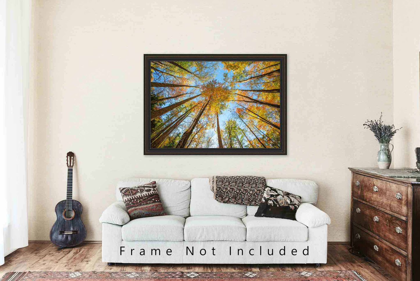 Forest Photography Print | Looking Up in Trees Picture | Great Smoky Mountains Wall Art | Tennessee Photo | Nature Decor | Not Framed